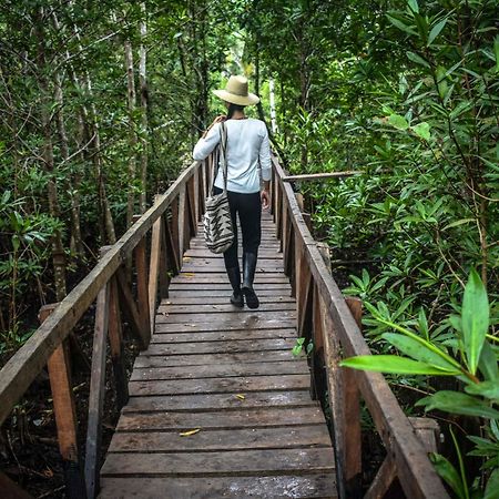 Jardin Botanico Del Pacifico Y Mecana Ecohotel บาเยีย โซลาโฯ ภายนอก รูปภาพ