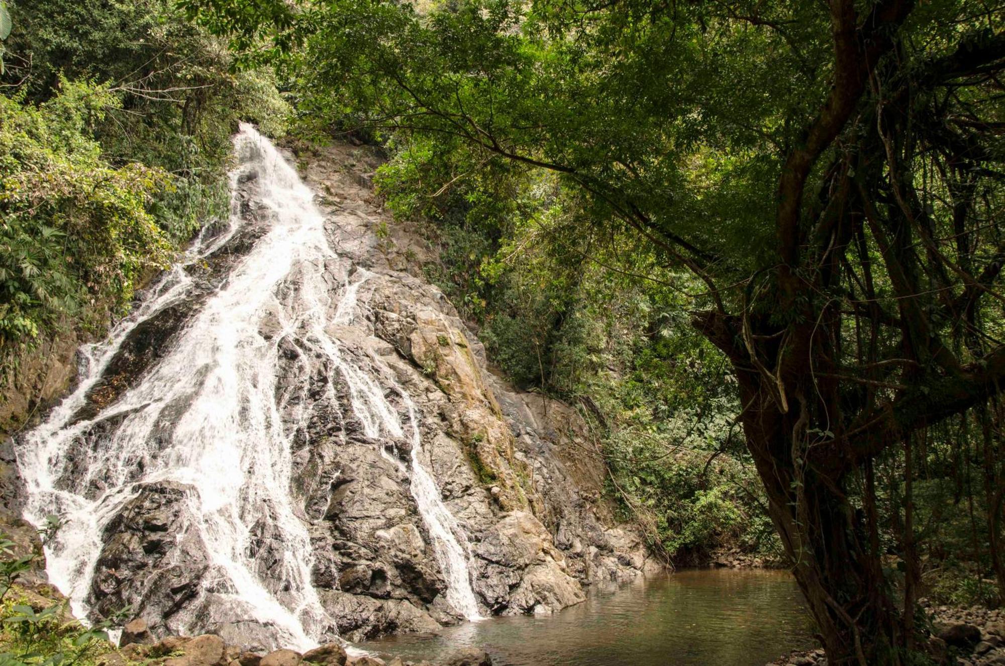 Jardin Botanico Del Pacifico Y Mecana Ecohotel บาเยีย โซลาโฯ ภายนอก รูปภาพ