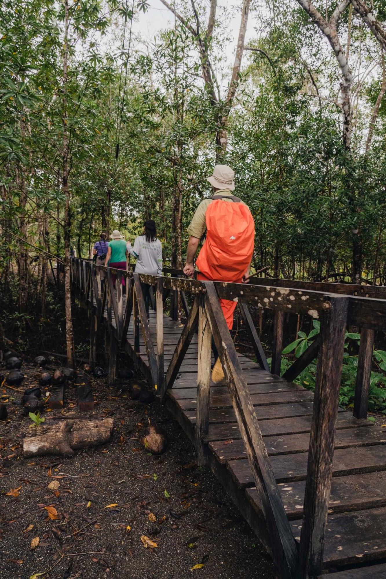 Jardin Botanico Del Pacifico Y Mecana Ecohotel บาเยีย โซลาโฯ ภายนอก รูปภาพ