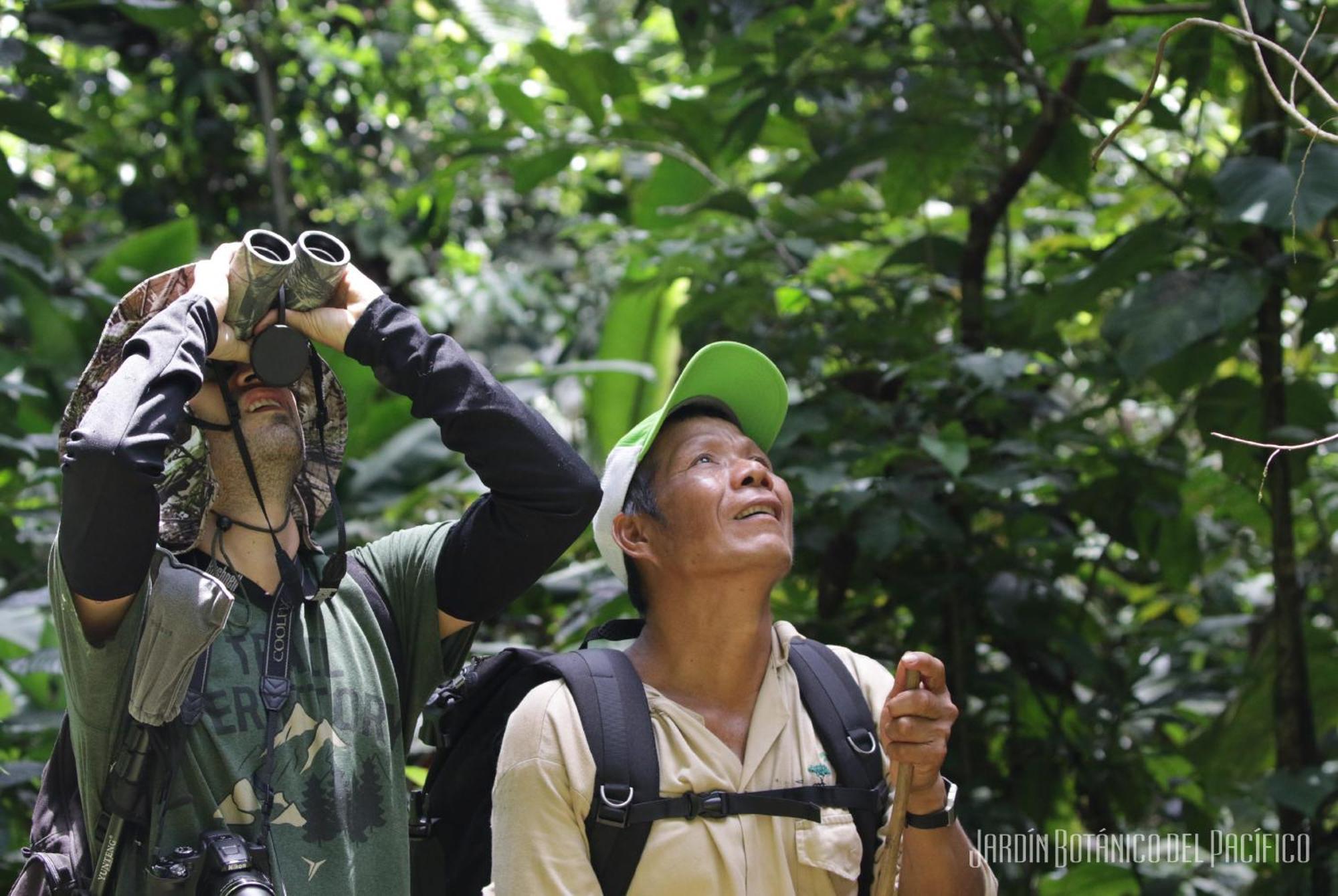 Jardin Botanico Del Pacifico Y Mecana Ecohotel บาเยีย โซลาโฯ ภายนอก รูปภาพ