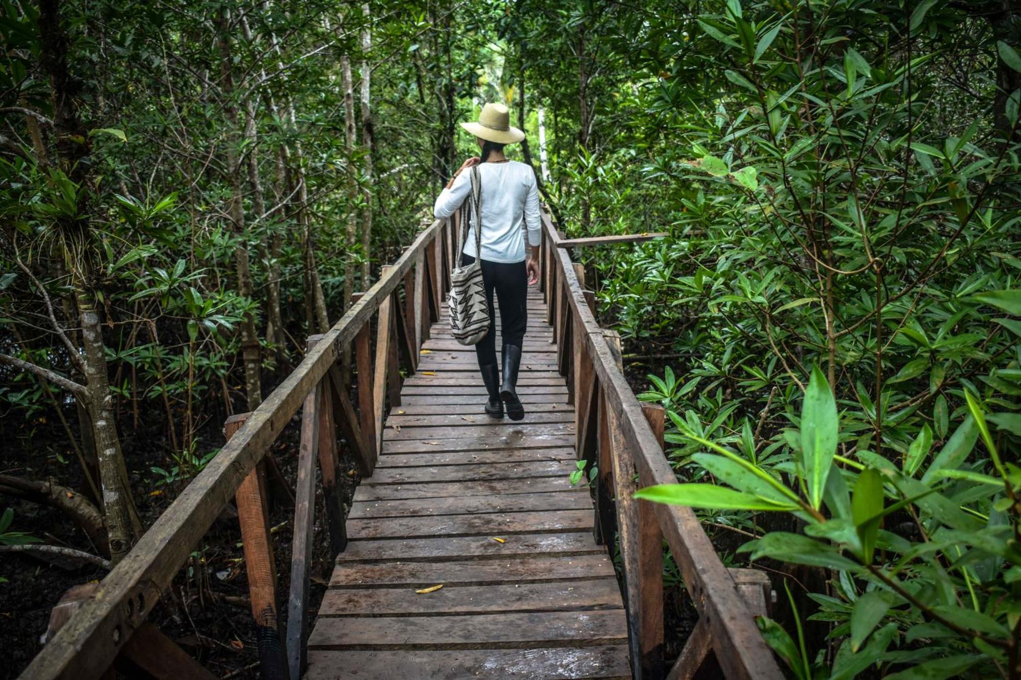 Jardin Botanico Del Pacifico Y Mecana Ecohotel บาเยีย โซลาโฯ ภายนอก รูปภาพ