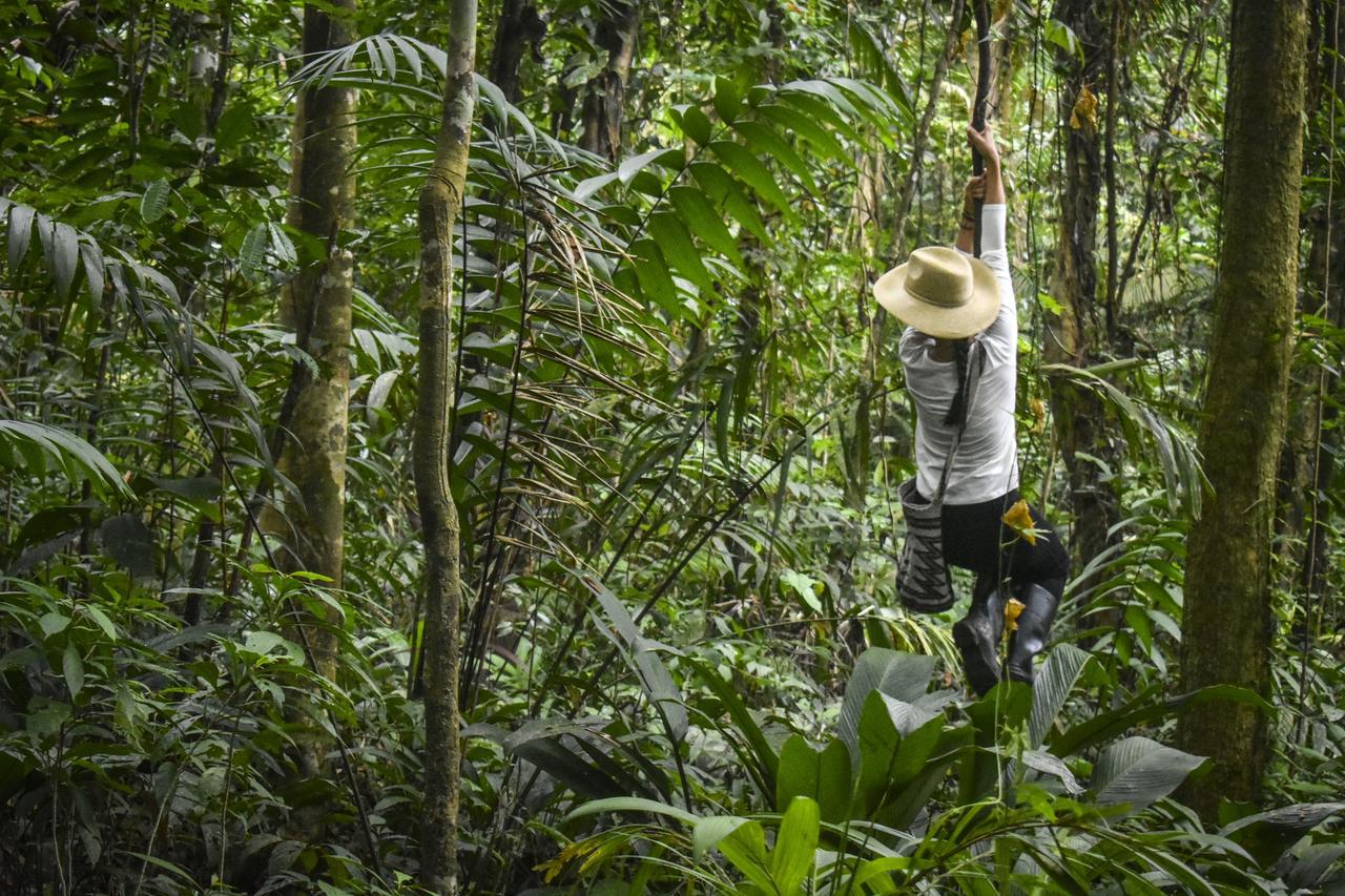 Jardin Botanico Del Pacifico Y Mecana Ecohotel บาเยีย โซลาโฯ ภายนอก รูปภาพ