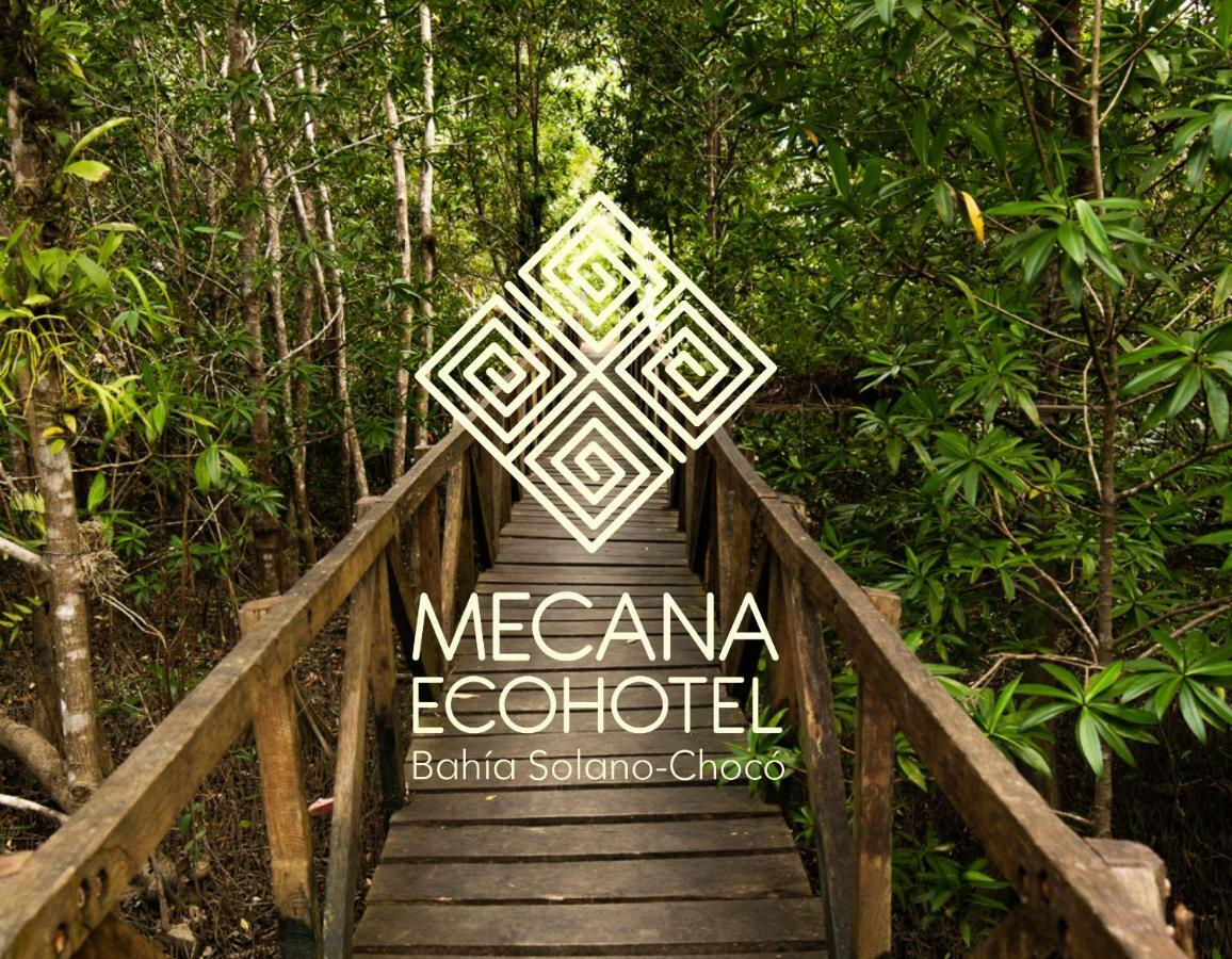 Jardin Botanico Del Pacifico Y Mecana Ecohotel บาเยีย โซลาโฯ ภายนอก รูปภาพ